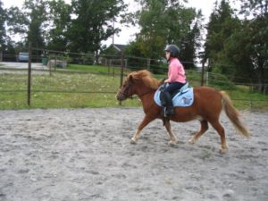 Shetlandsponni med rytter i rosa jakke