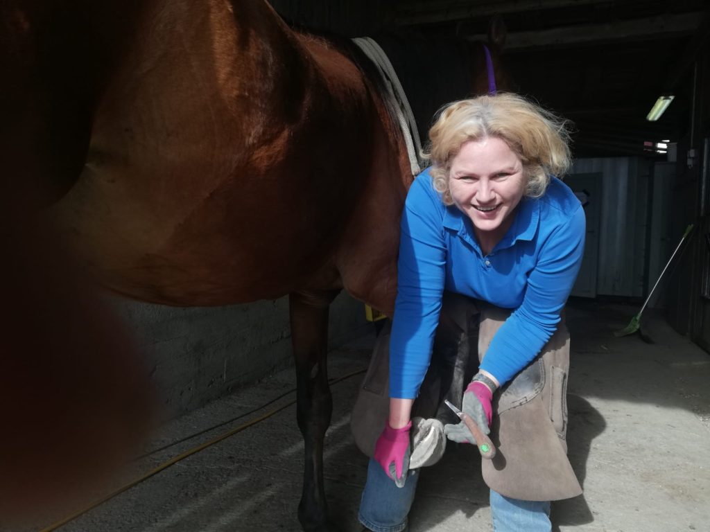 best horse hoof trimmers