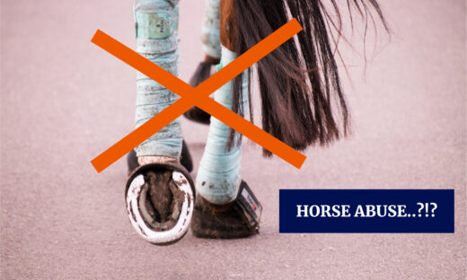 Bilde av to hestebakbein med bandasjer og et oransje kryss gjennom dem.