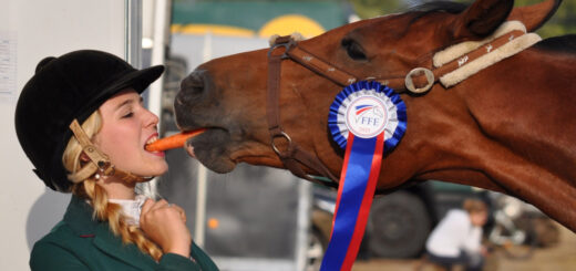 Kvinne og hest som deler en gulrot