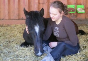 'Polly' (Raaken Practical Magic) har arvet hennes fars gode gemytt! Jente med sovende svart hest i halmen